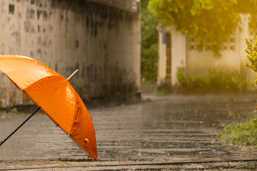 Monsoon Travel Tips for Pregnant Women