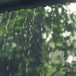 Monsoon Infections During Pregnancy