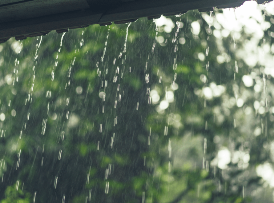 Monsoon Infections During Pregnancy