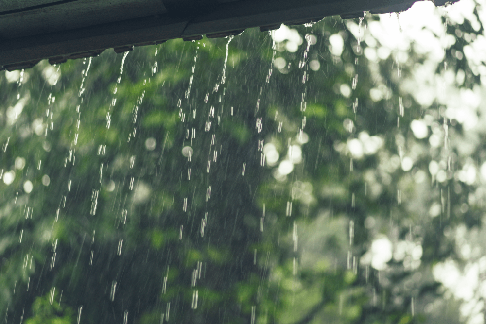 Monsoon Infections During Pregnancy